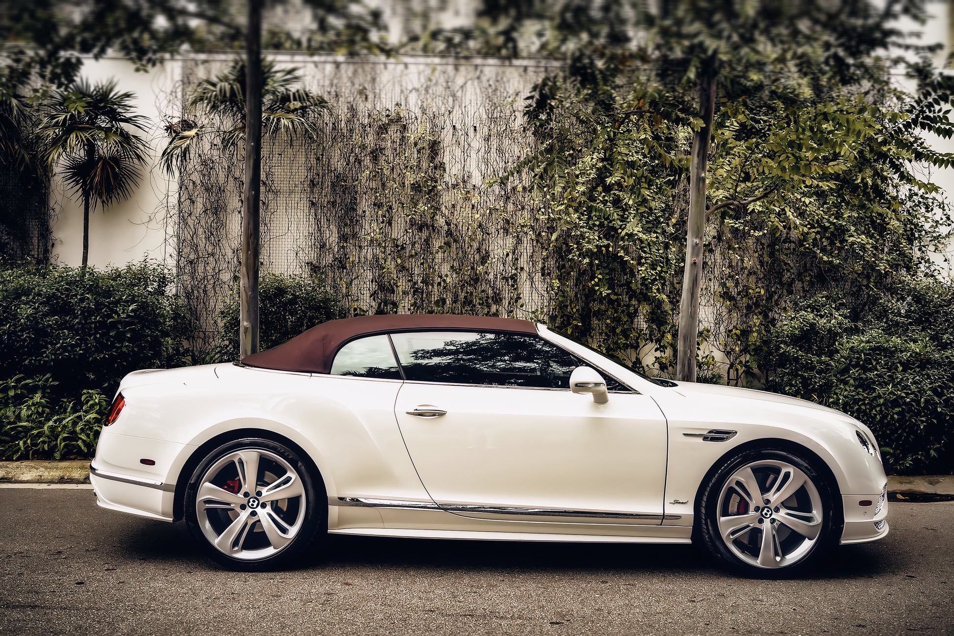 Bentley CGT Convertible