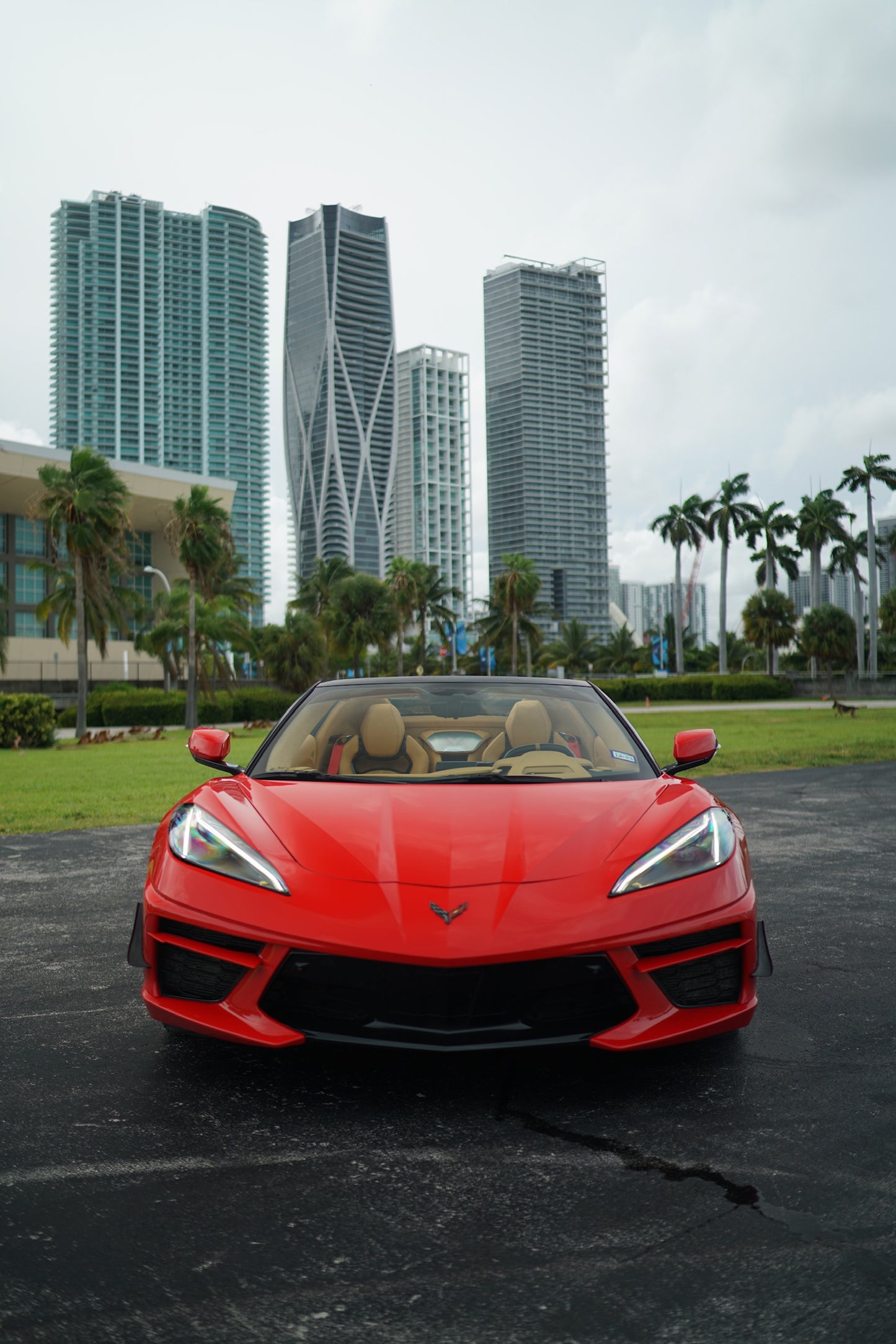 Corvette C8 Stingray