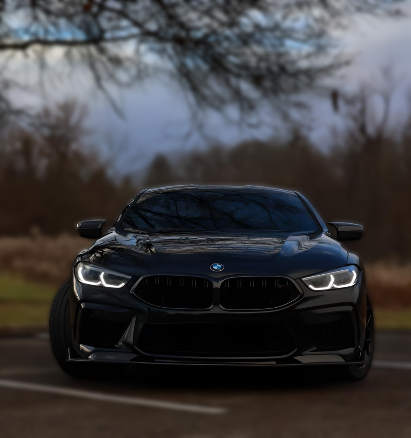 2023 BMW M8 Competition